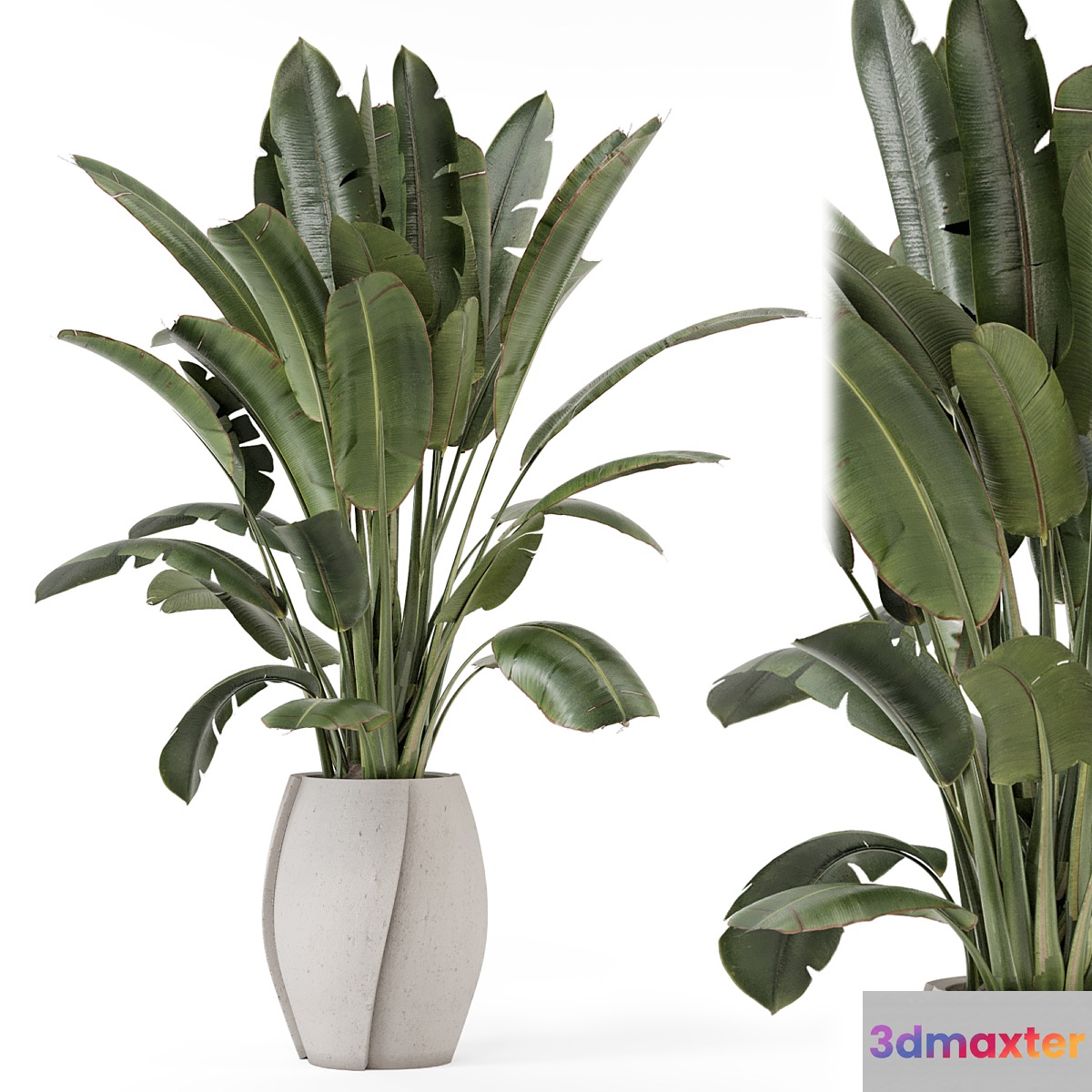 Indoor Plants in rusty Concrete Pot - Set 1612 - No.2 3D Max