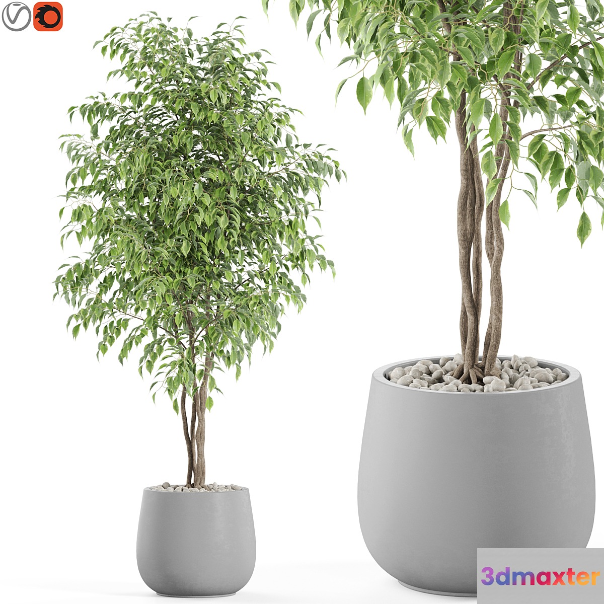 Plants collection 975 3D Max