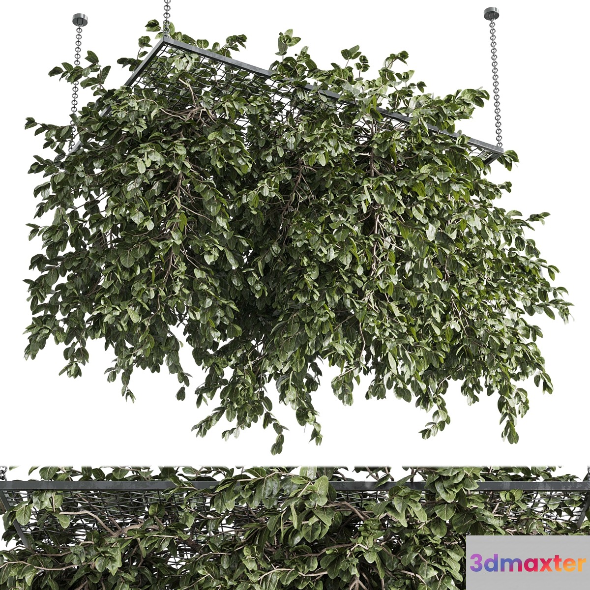Hanging plants - outdoor plant set 171 - No.2 3D Max