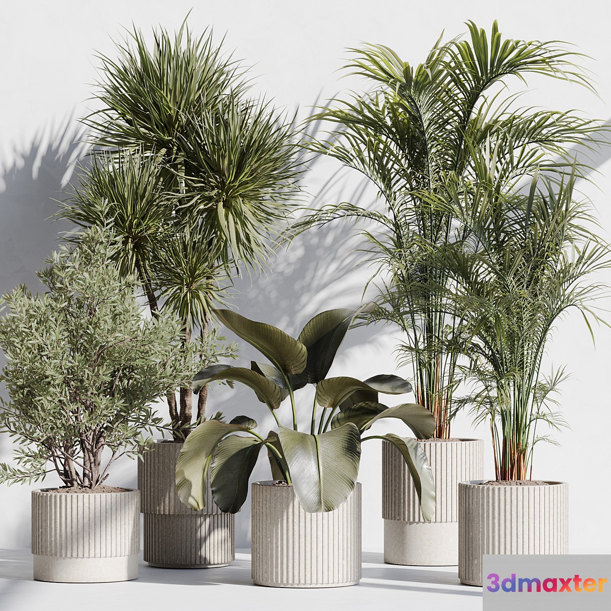 indoor plant set 72