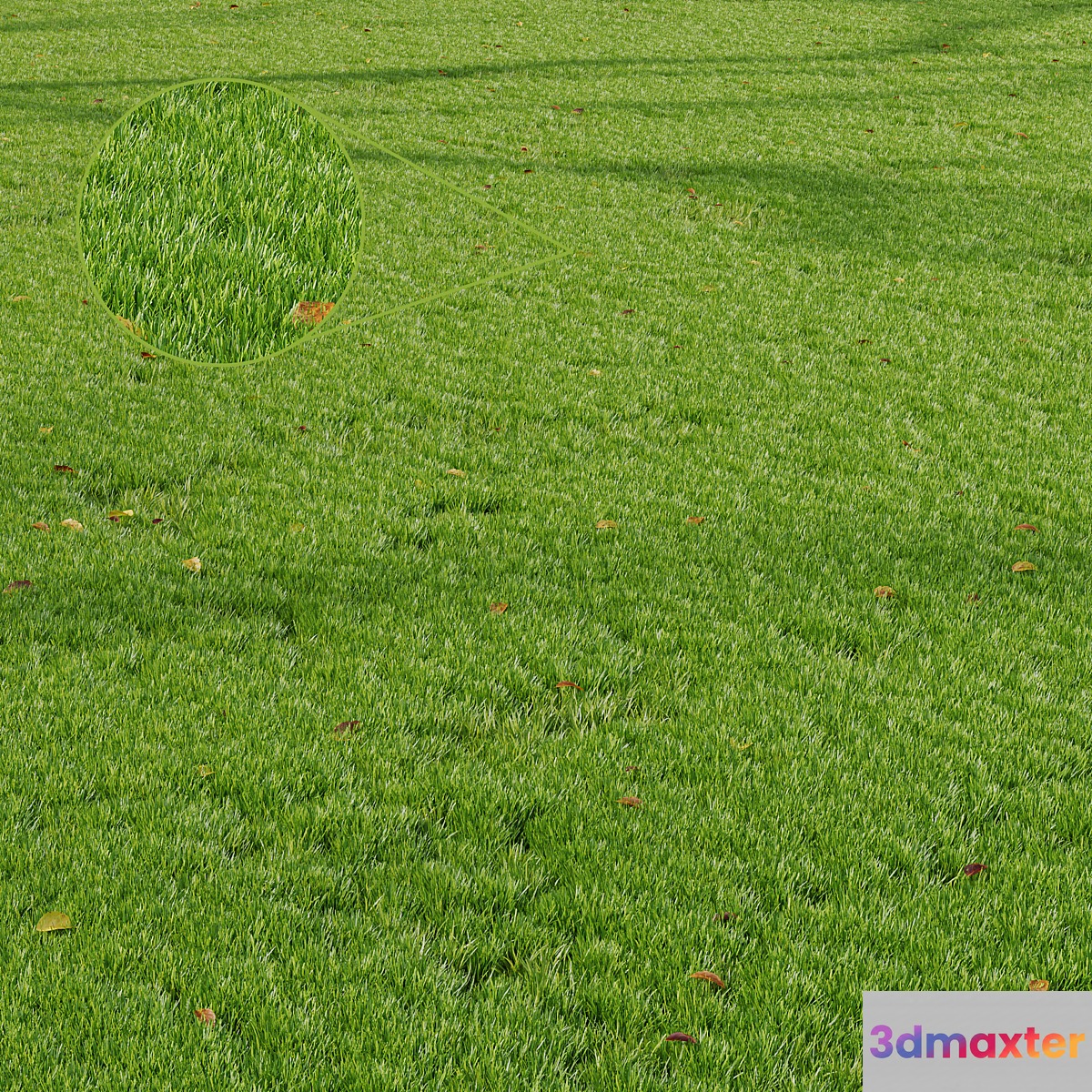 HQ Grass Park Summer