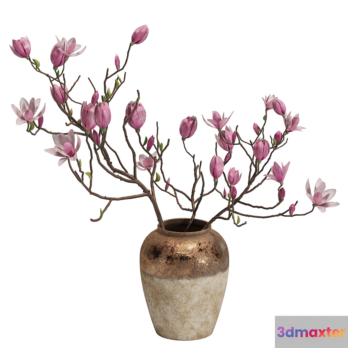 Magnolia Shrubs In Clay Vase 04 3D Max