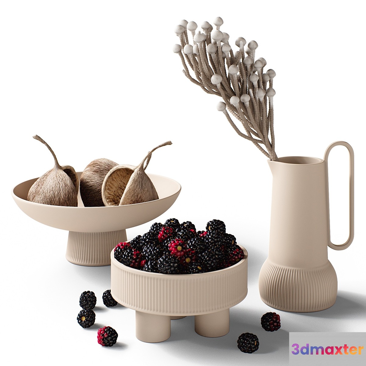 Decorative set 77 Blackberry and brunia 3D Max