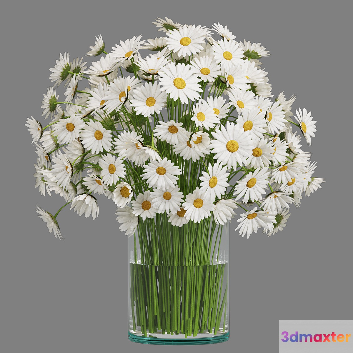 Flower in Glass Vase 05 3D Max