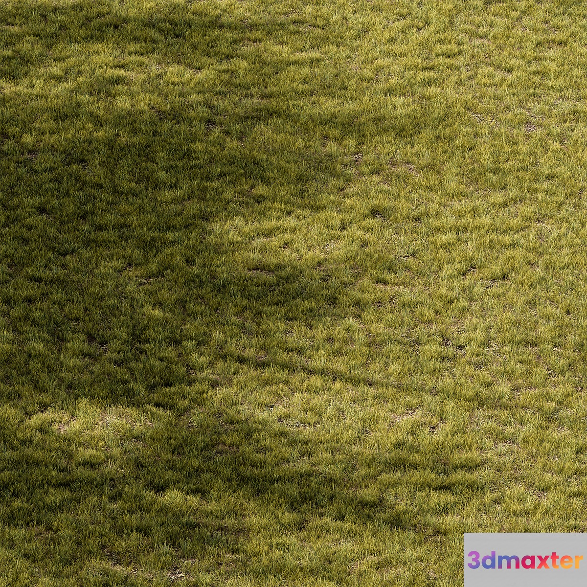 Short Grass Set 29 3D Max