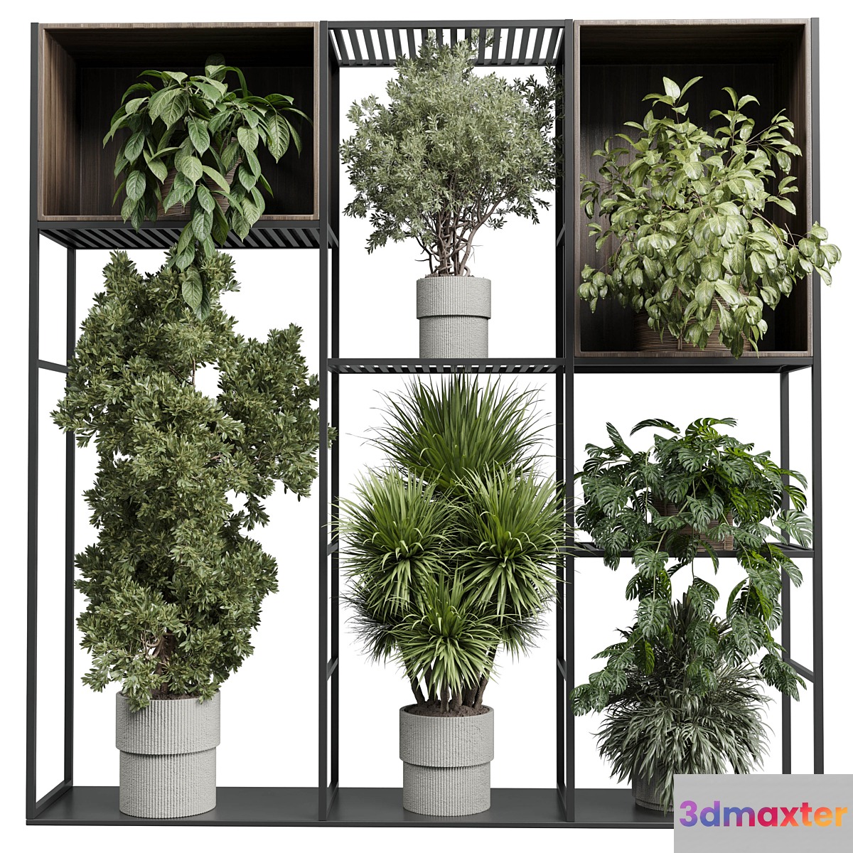 Standing metal shelf with a set of plants in wooden and metal boxes 419 3D Max