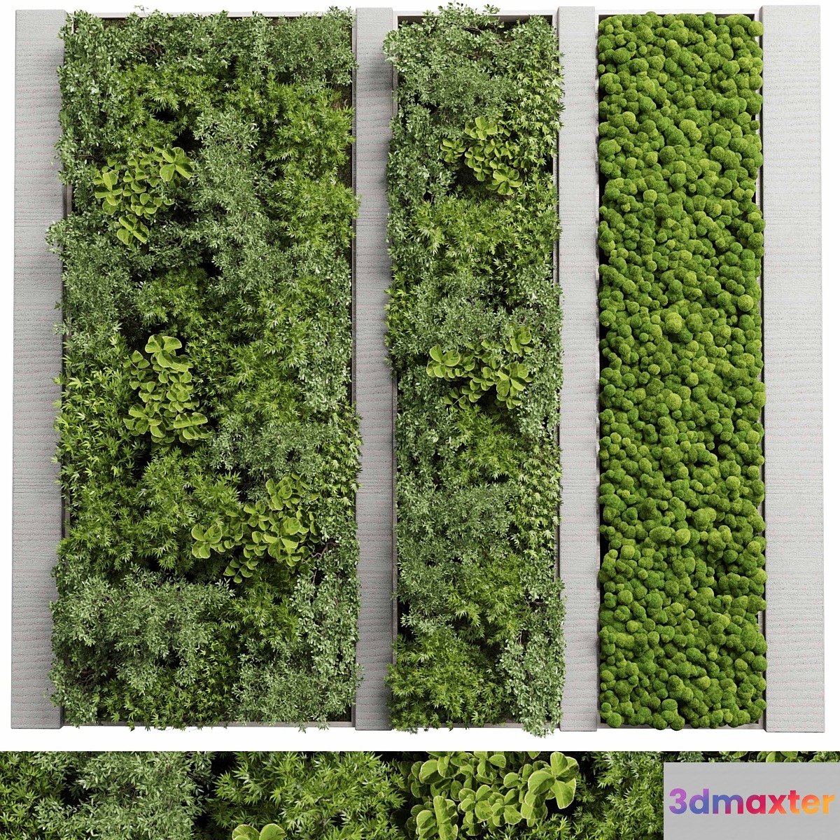 Concrete frame Vertical garden plant and moss garden wall decor box 66 3D Max