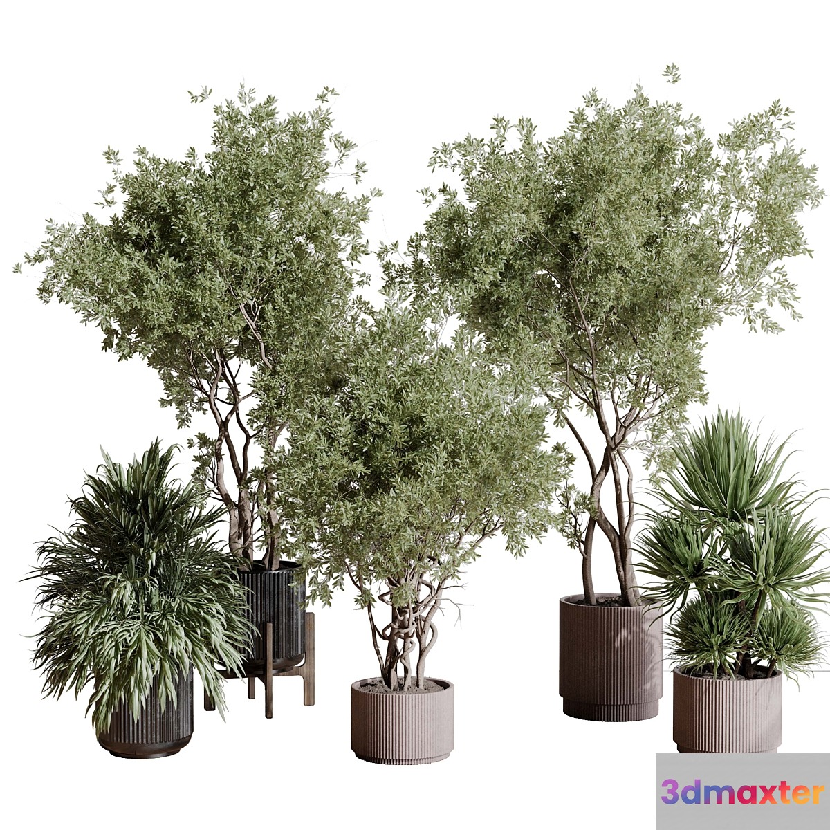 indoor plant set 408 plant tree palm bush concrete dirt vase vray