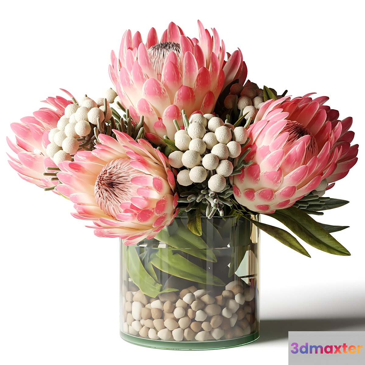 Bouquet of pink proteas with balls