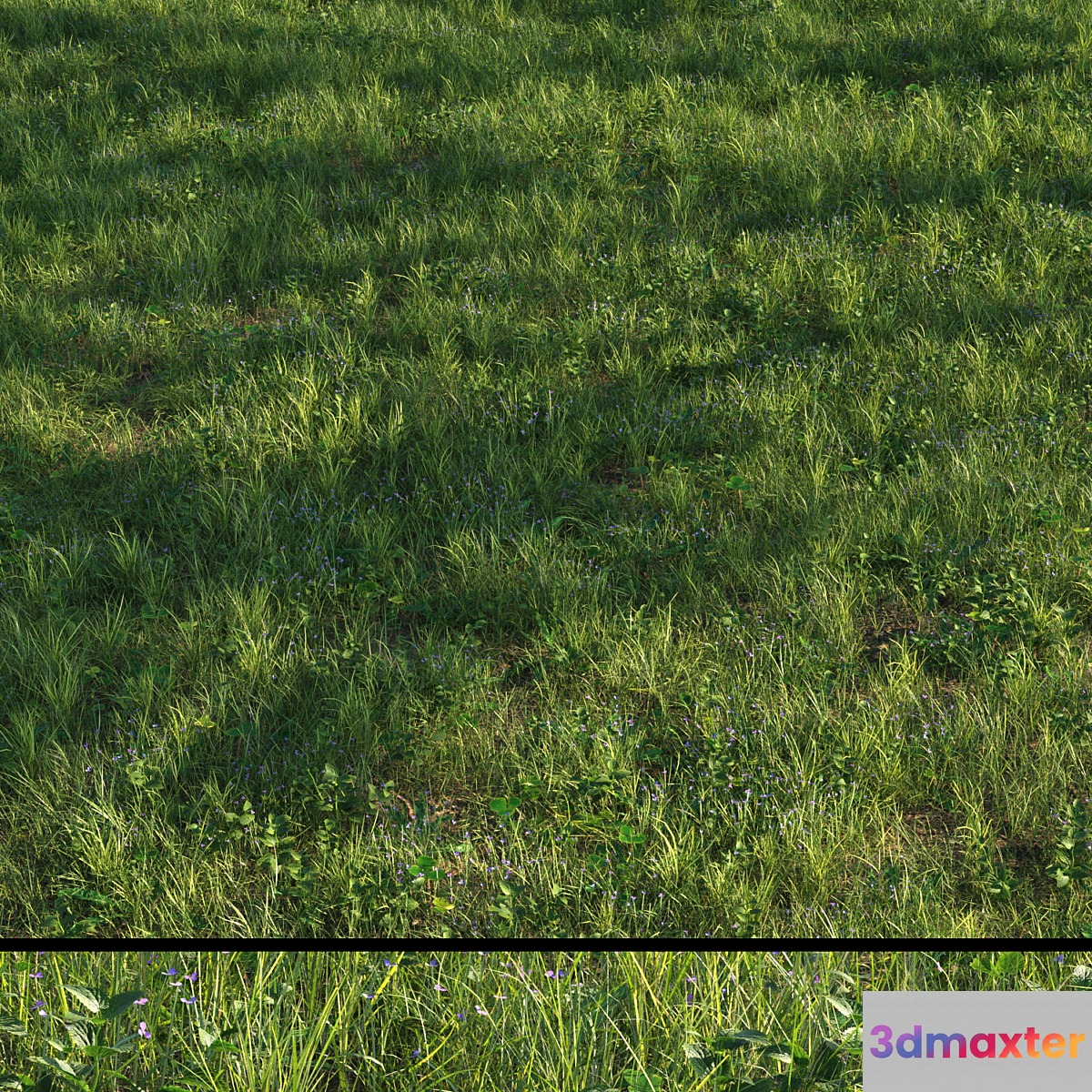 grass13 3D Max