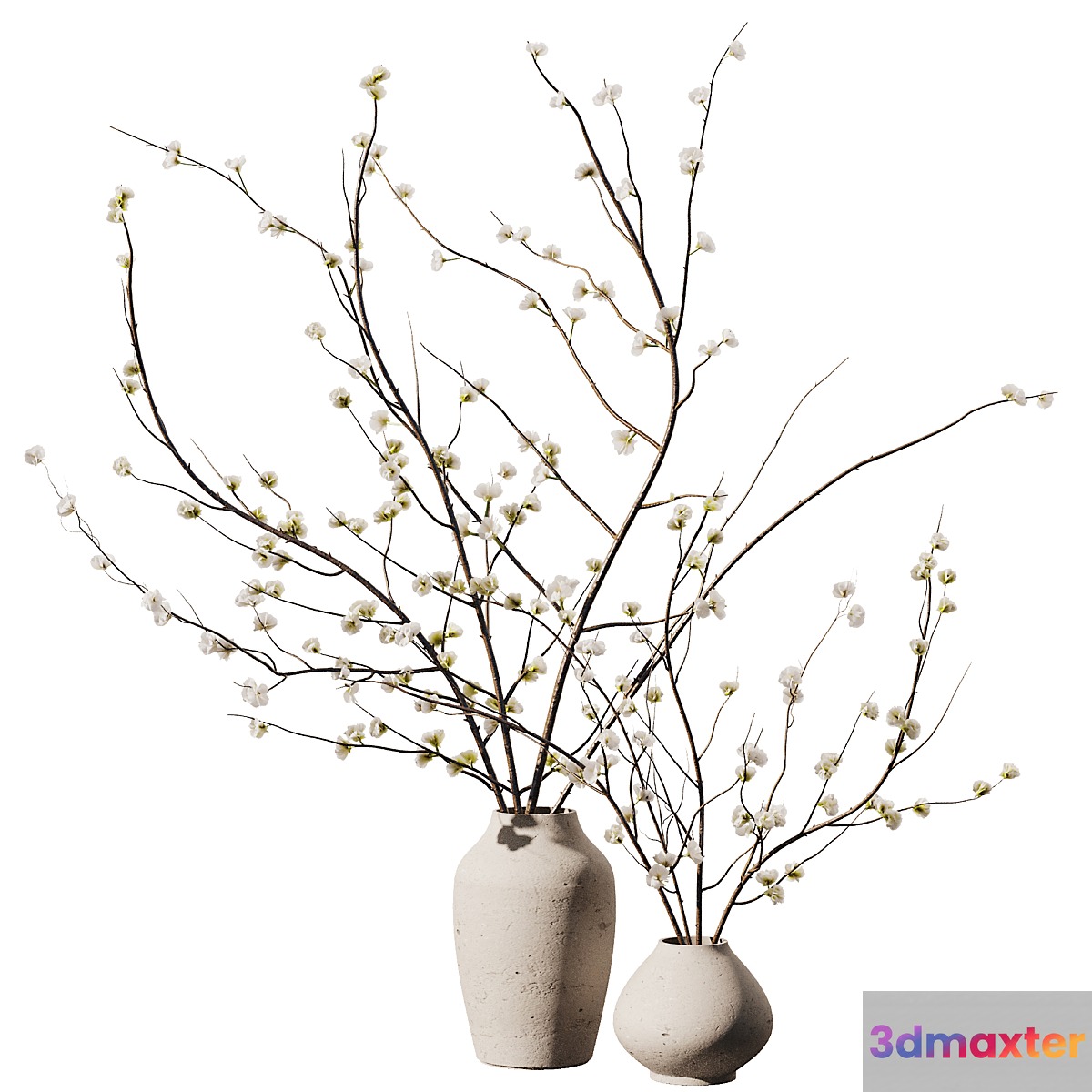 Dry Flower Branche Bouquet2