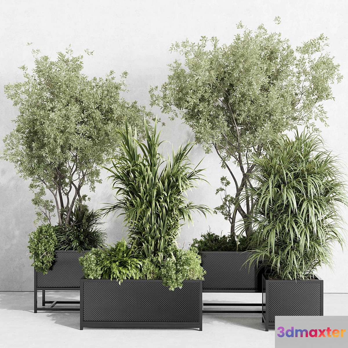 metal box plants on stand - set indoor plant 425 - No.2 3D Max