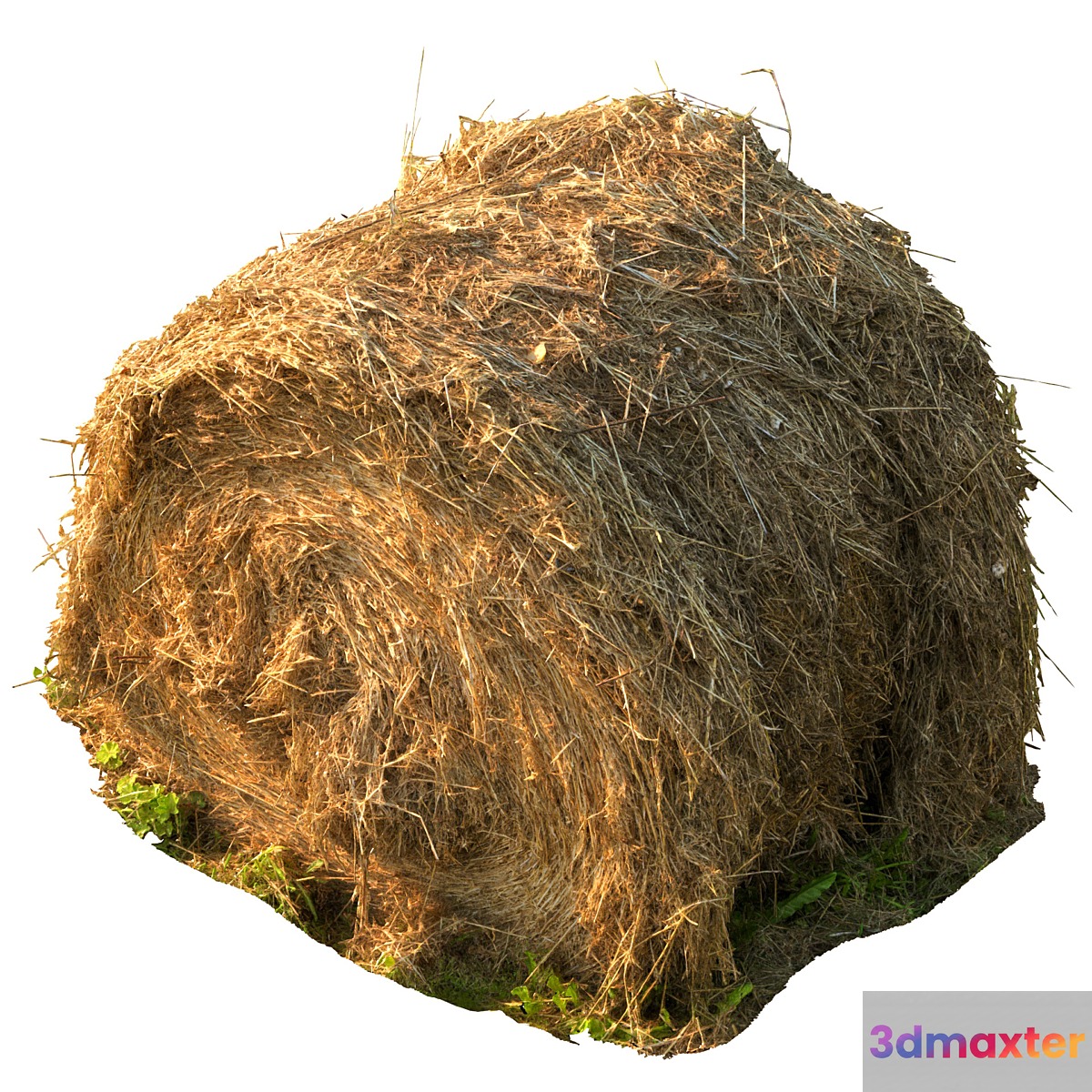 Round bale of hay 3D Max