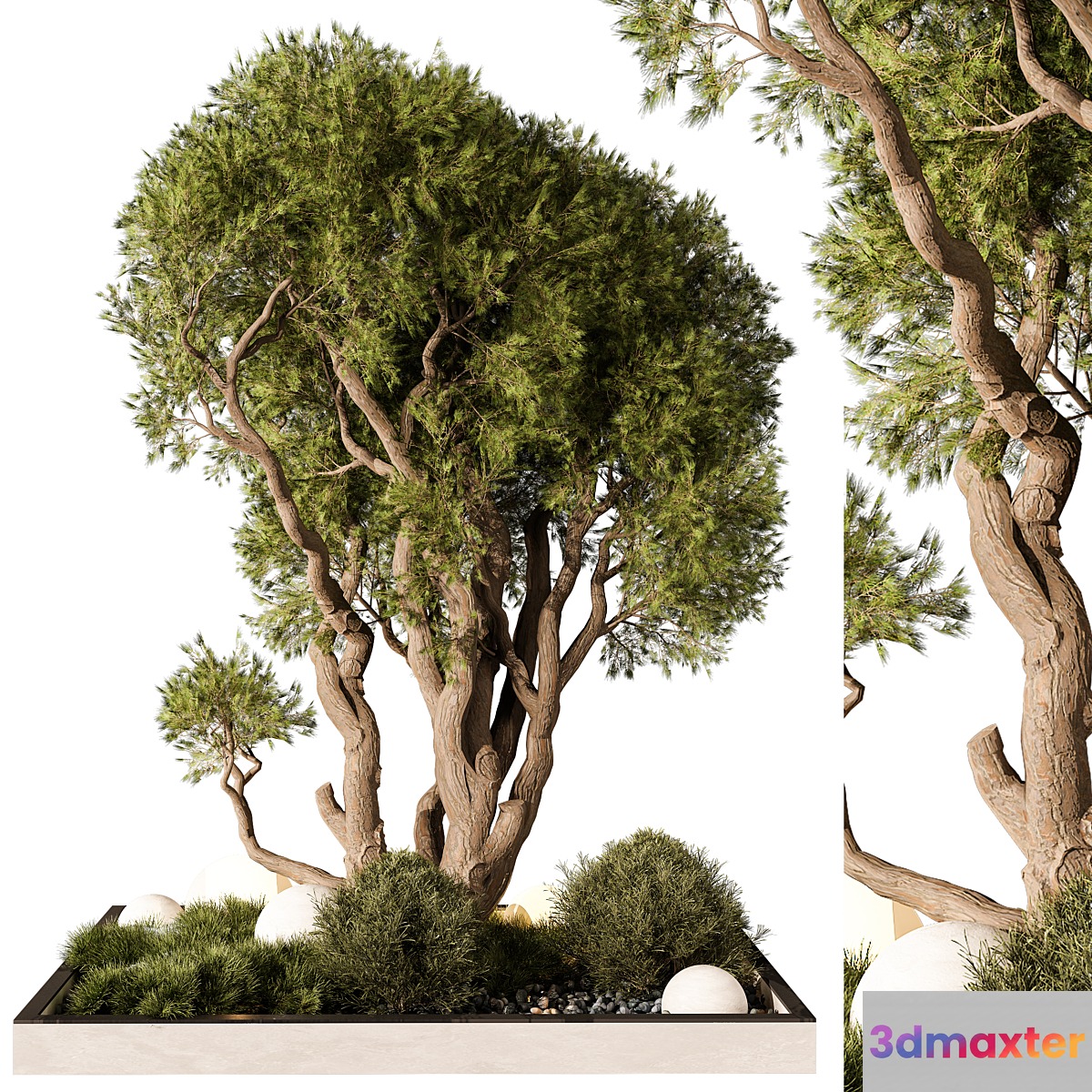 Outdoor Plant 247 3D Max