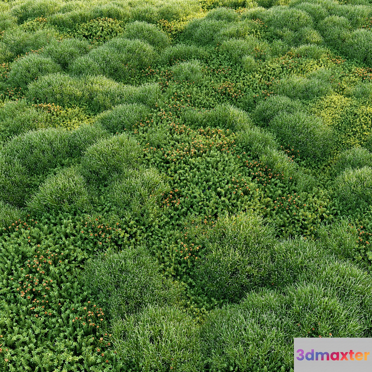 Blooming moss 2 3D Max