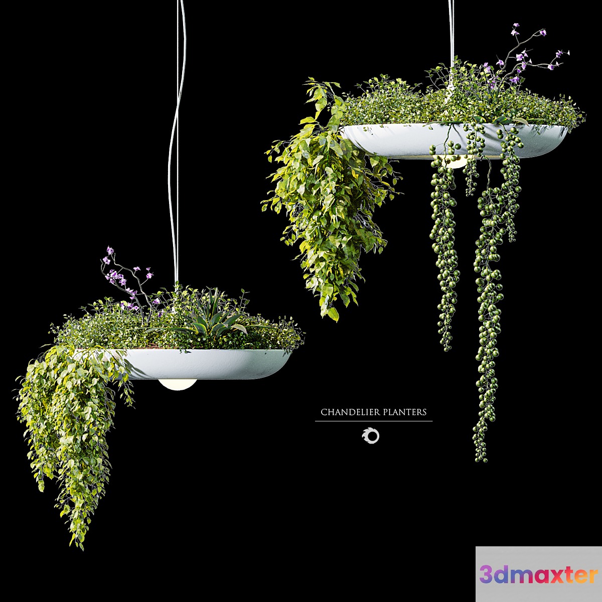Chandelier plant pot 3D Max