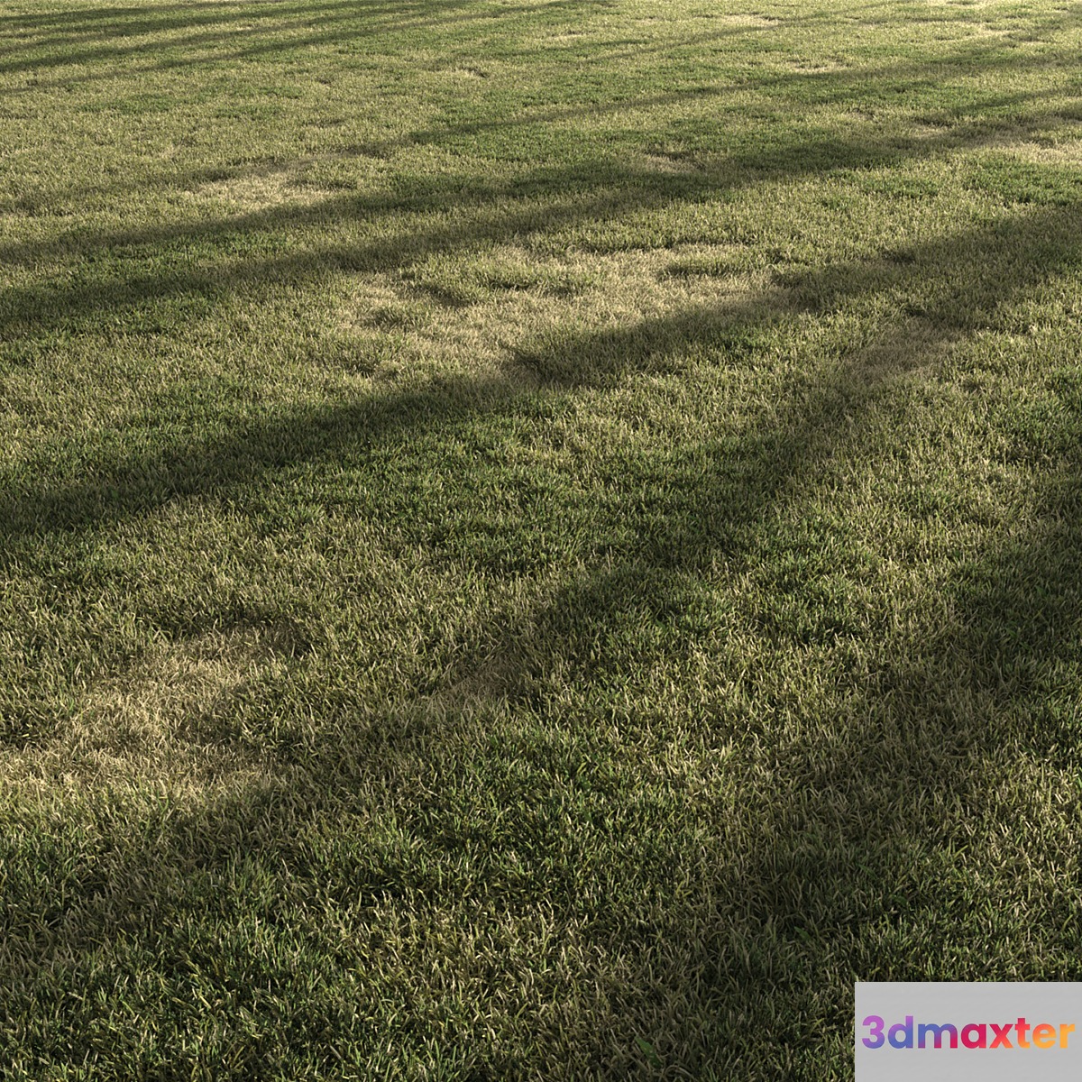 Forest Grass 3 - No.2 3D Max