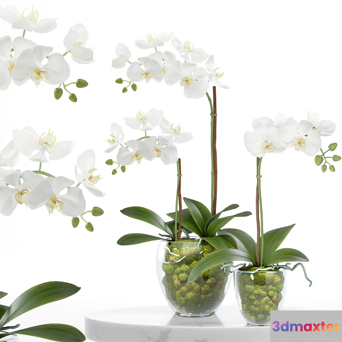 treez plants set 28 3D Max