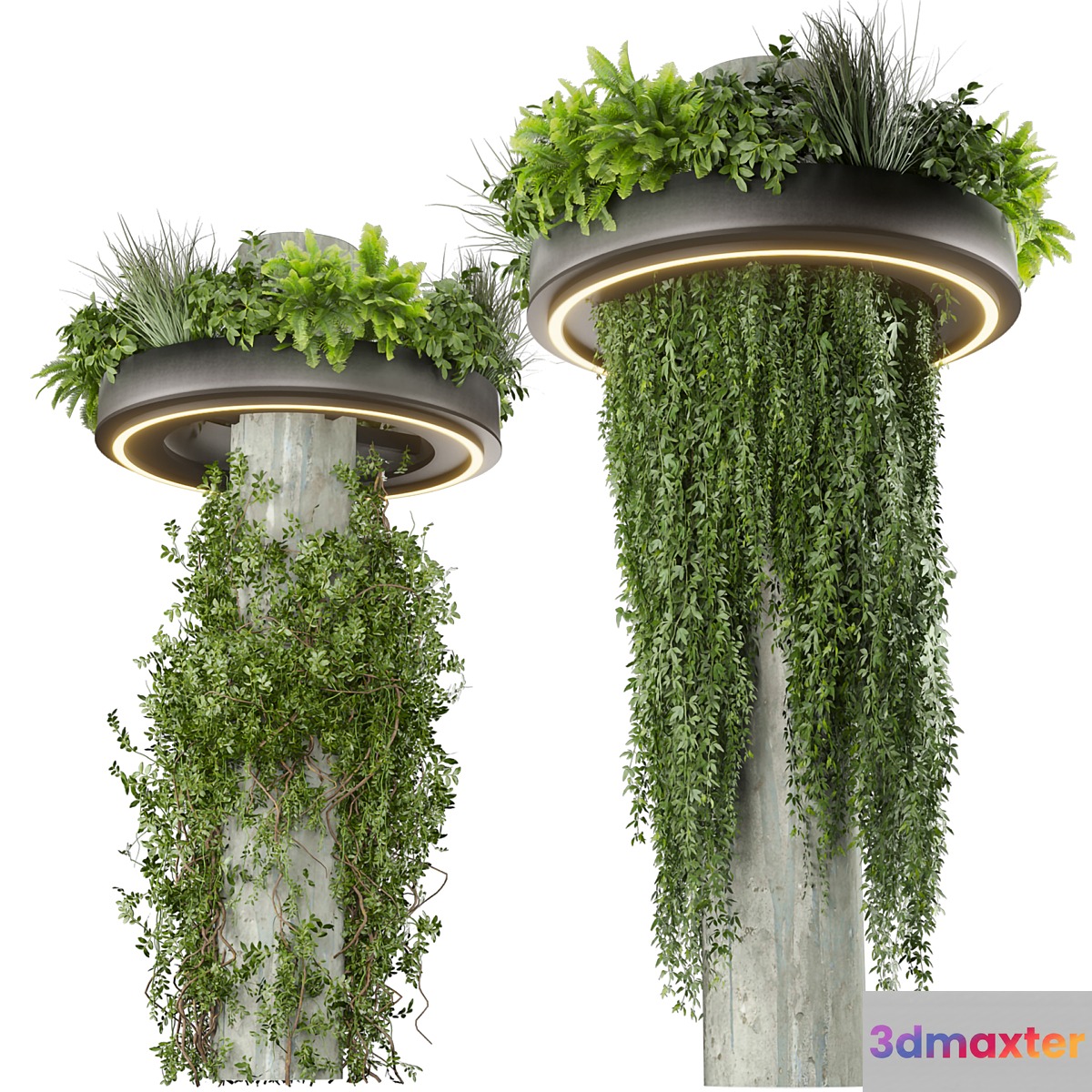 Collection plant vol 532 - bush - ampelous - column - fitowall - ivy 3D Max