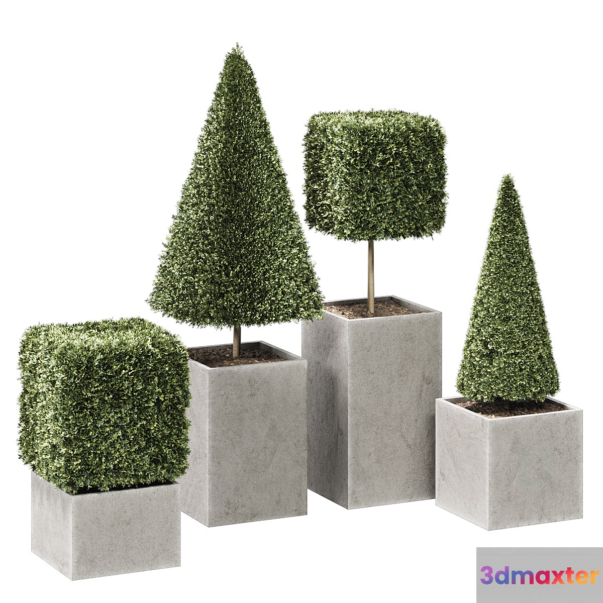 plant in pots_set 15 3D Max