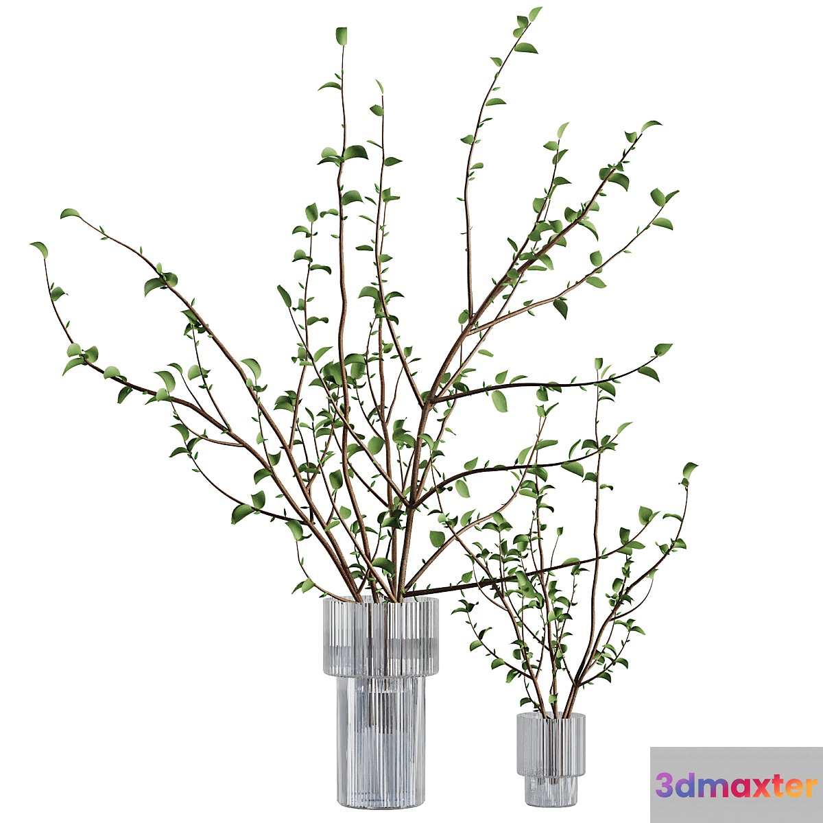 Flower Branche Bouquet14 3D Max