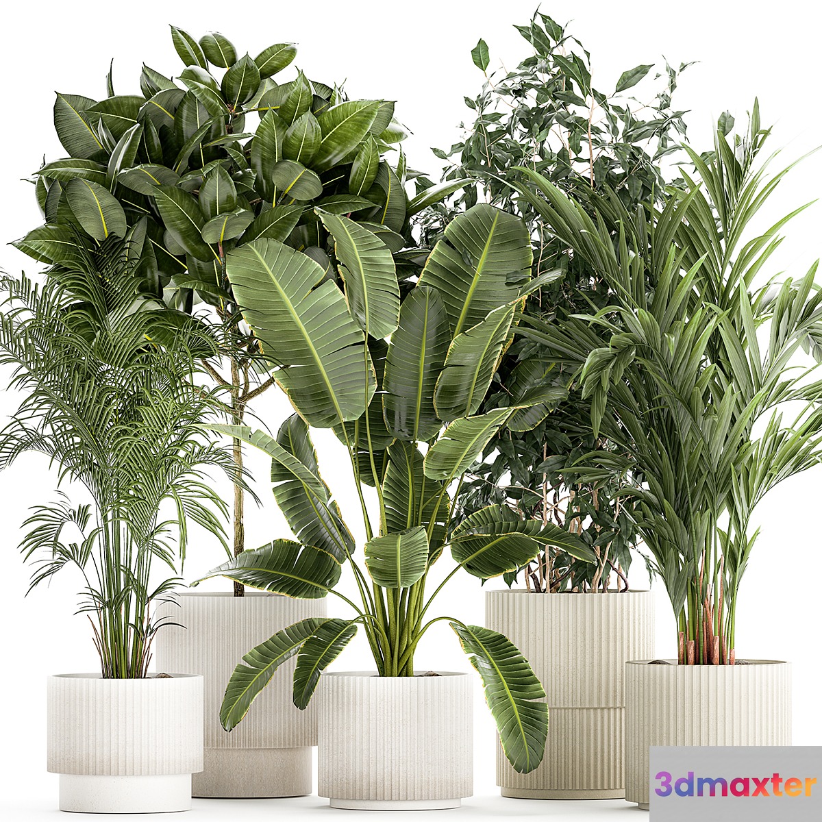 Plant collection 1401 3D Max