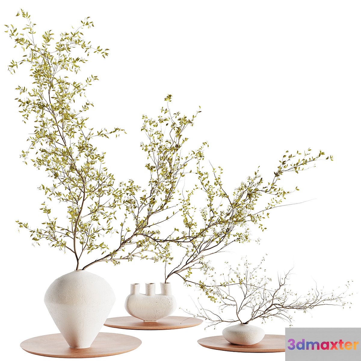plants collection set 5 3D Max