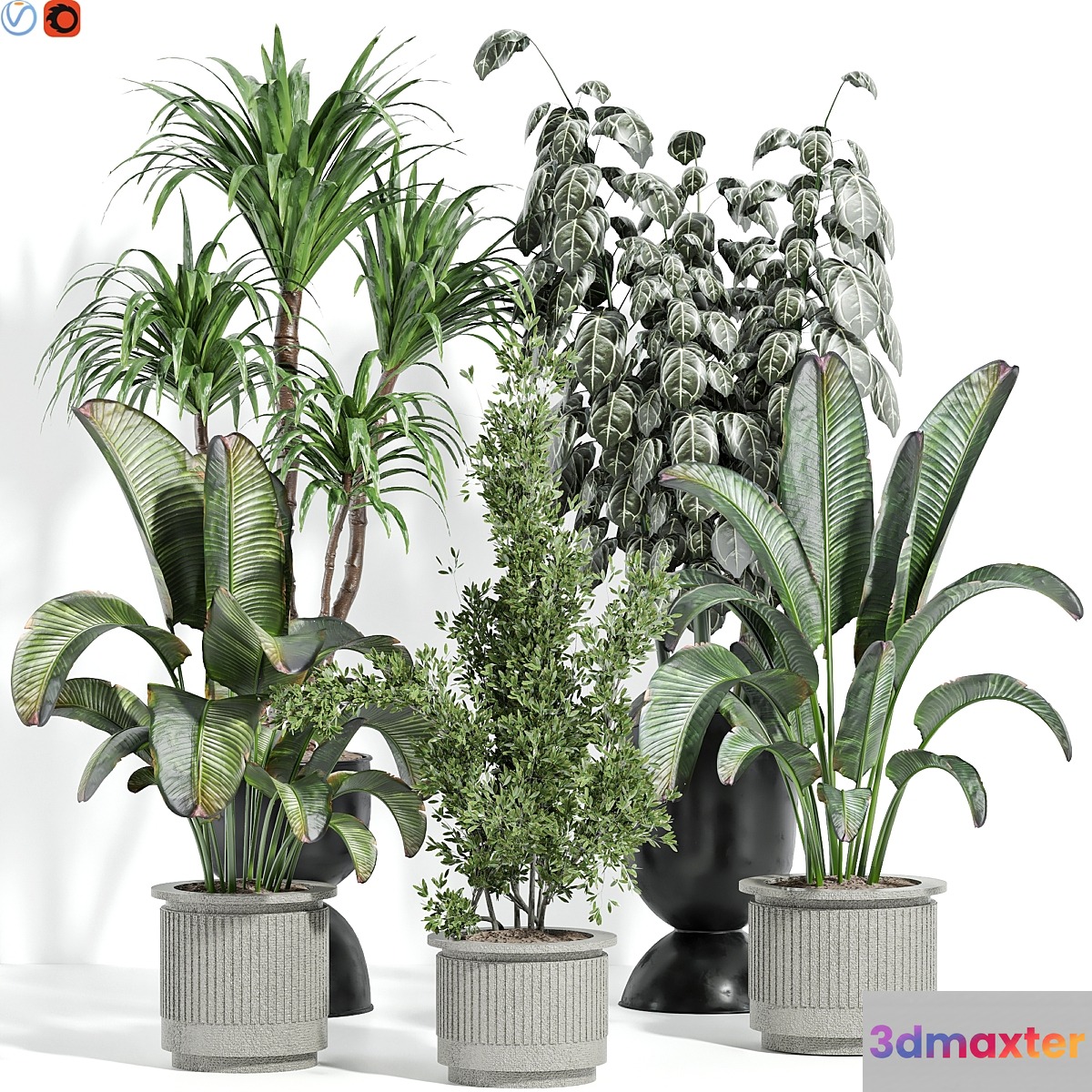 Indoor plants 42 3D Max