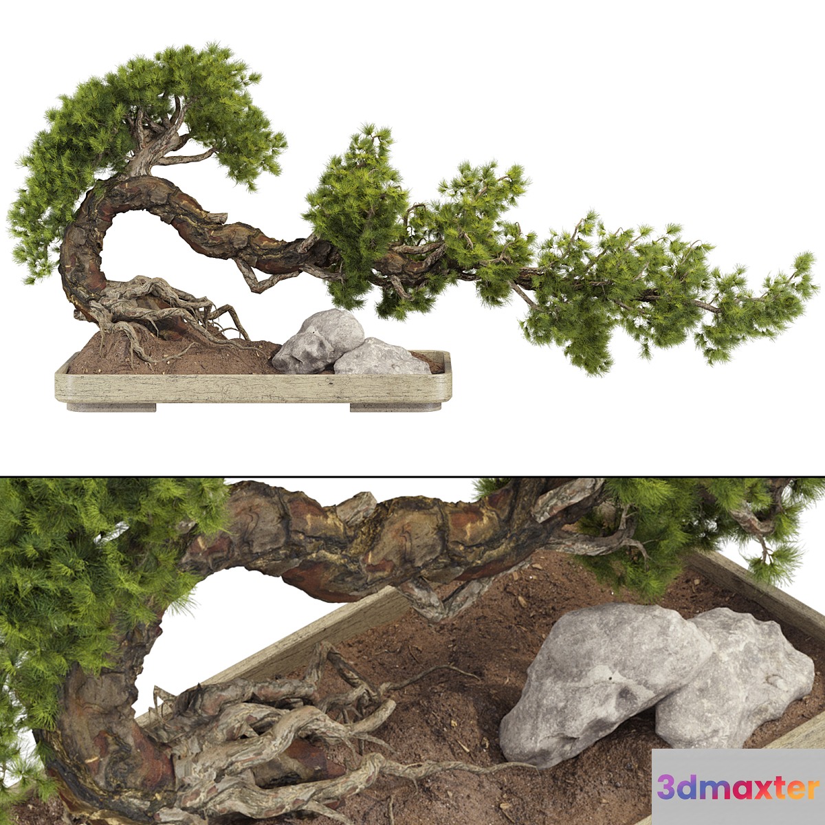 Bonsai Tree 229 3D Max