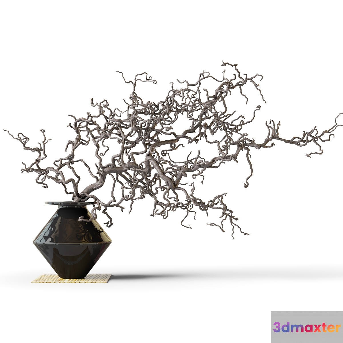 Dry branch in a black vase 3D Max