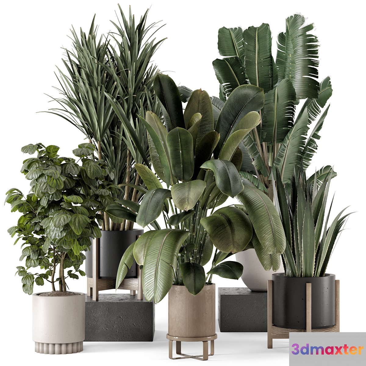 Indoor Plants in Ferm Living Bau Pot Large - Set 1782 3D Max