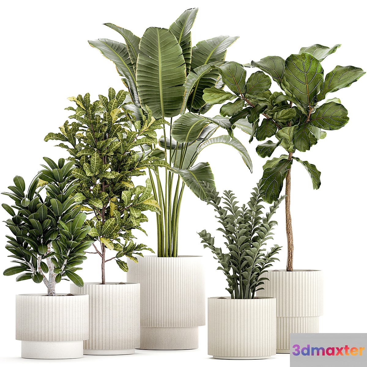 Plant collection 1407 3D Max