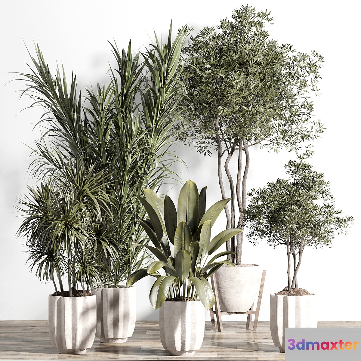 indoor plant - set 60 3D Max