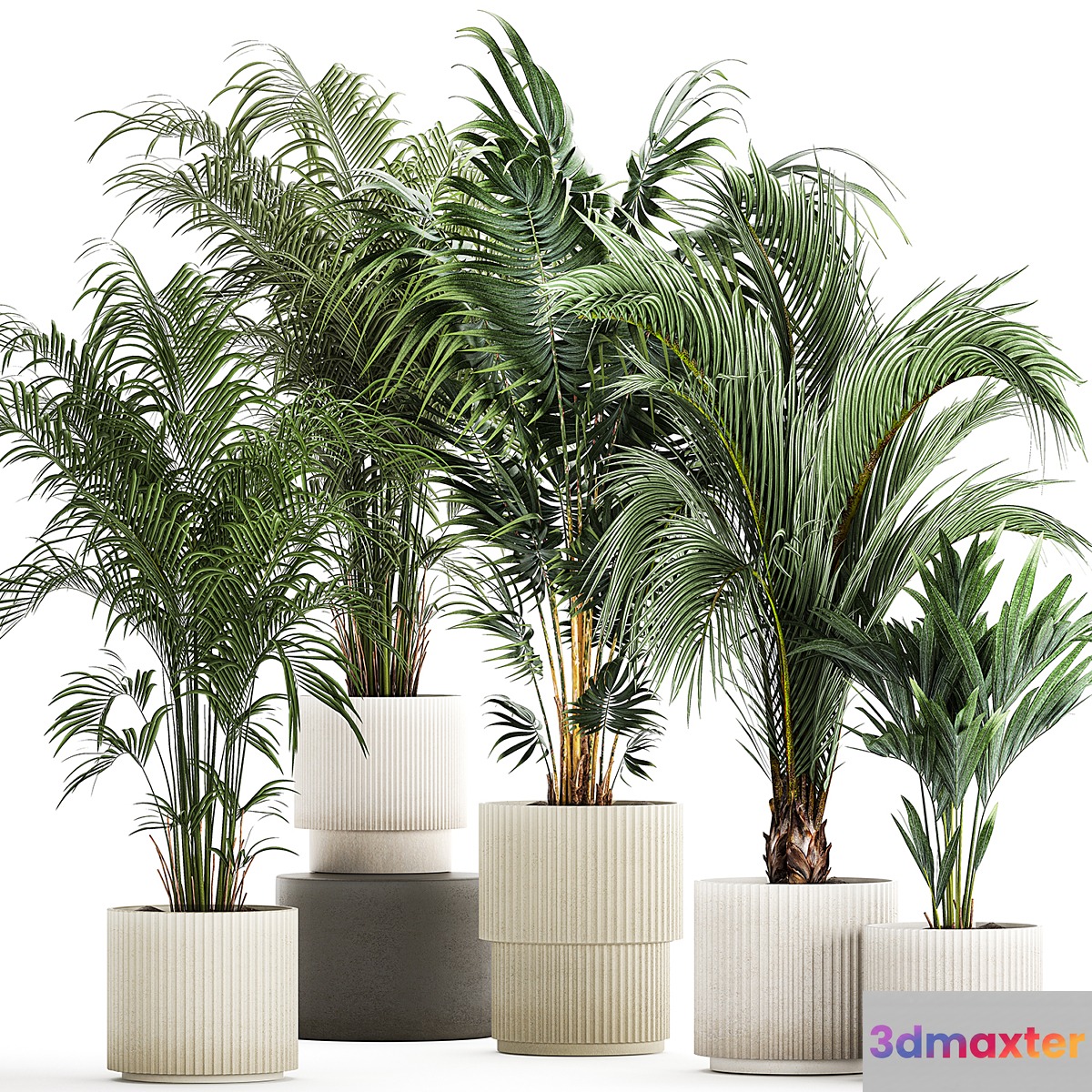 Plant collection 1408 3D Max