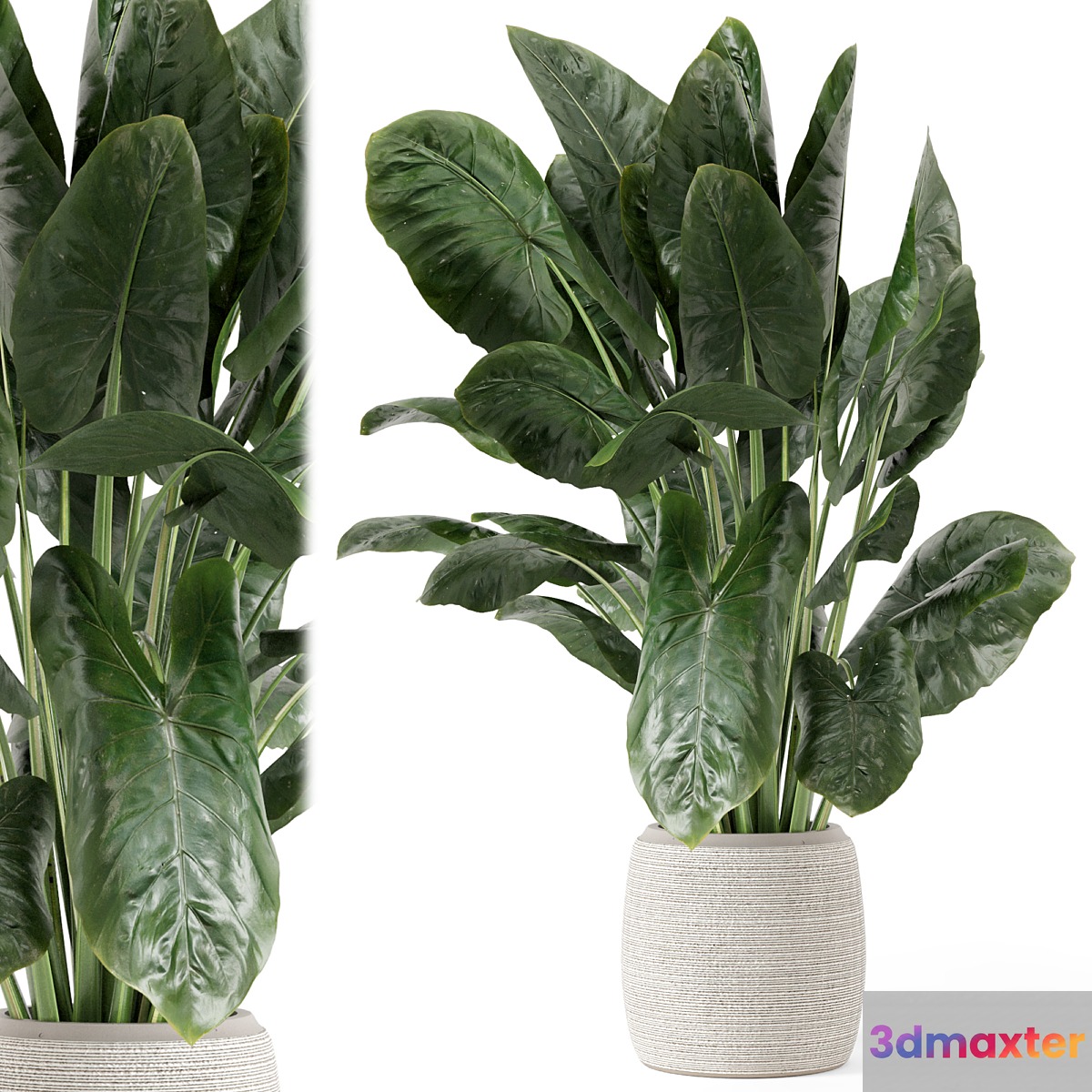 Indoor Plants in Handmade Stone Pot - Set 1797 3D Max