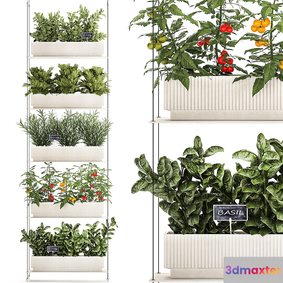 Plant collection 1411 3D Max