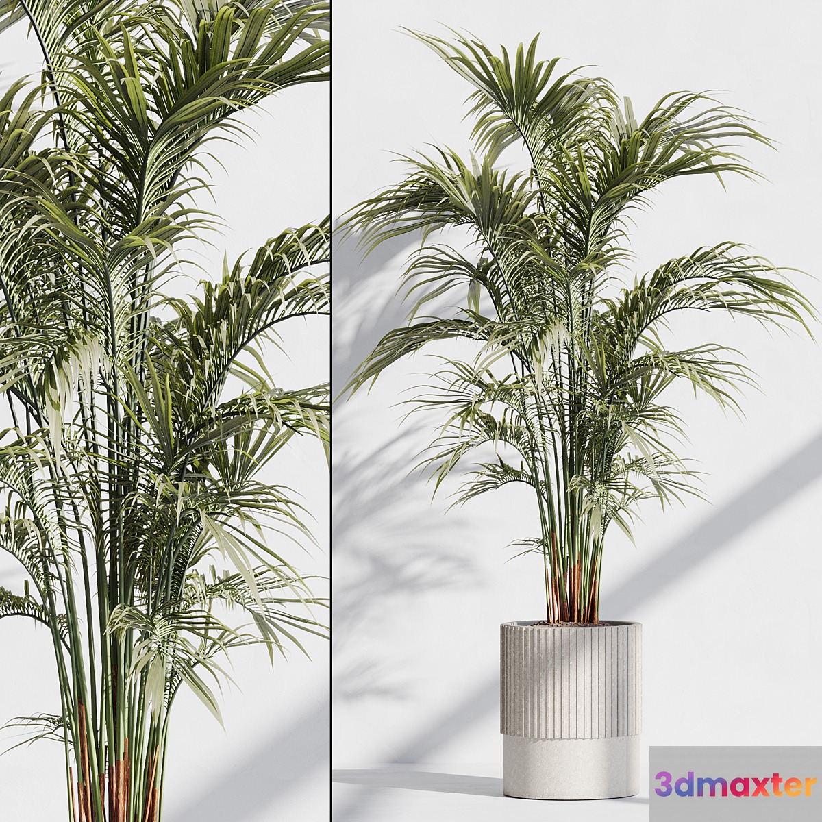 indoor plant set 76 3D Max