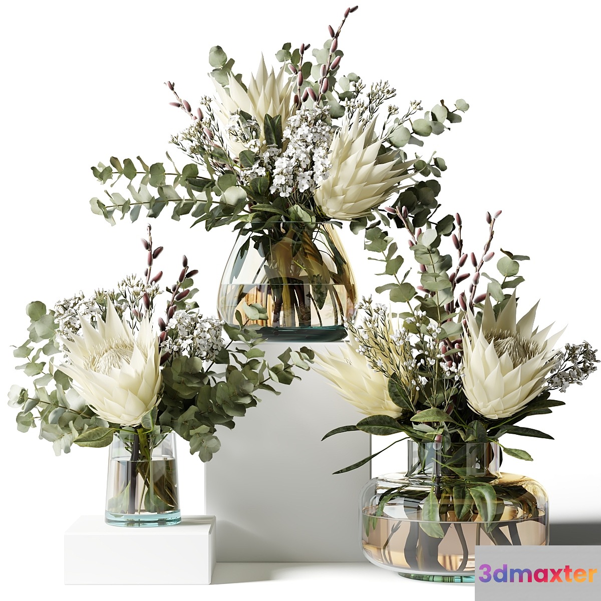 Bouquet with proteas and eucalyptus 3D Max