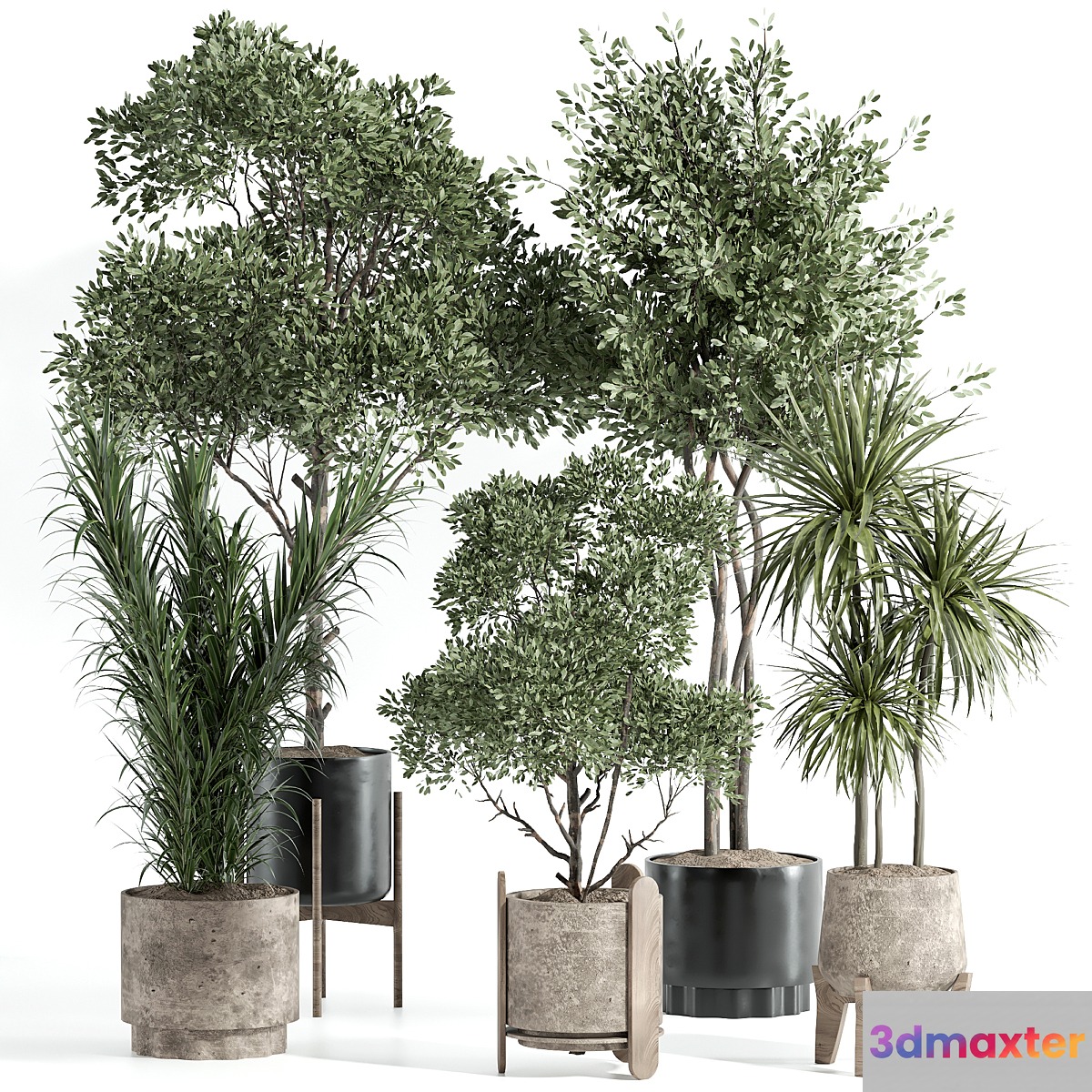 Indoor Plant Set 70 3D Max