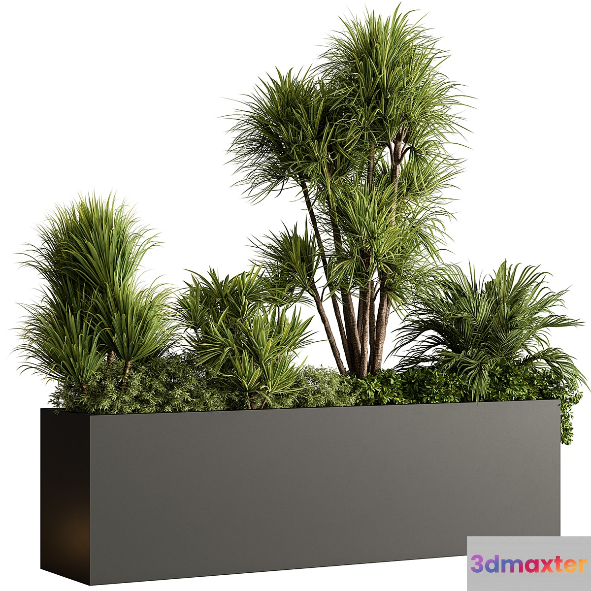 Plant Box - Outdoor Plants 580 3D Max