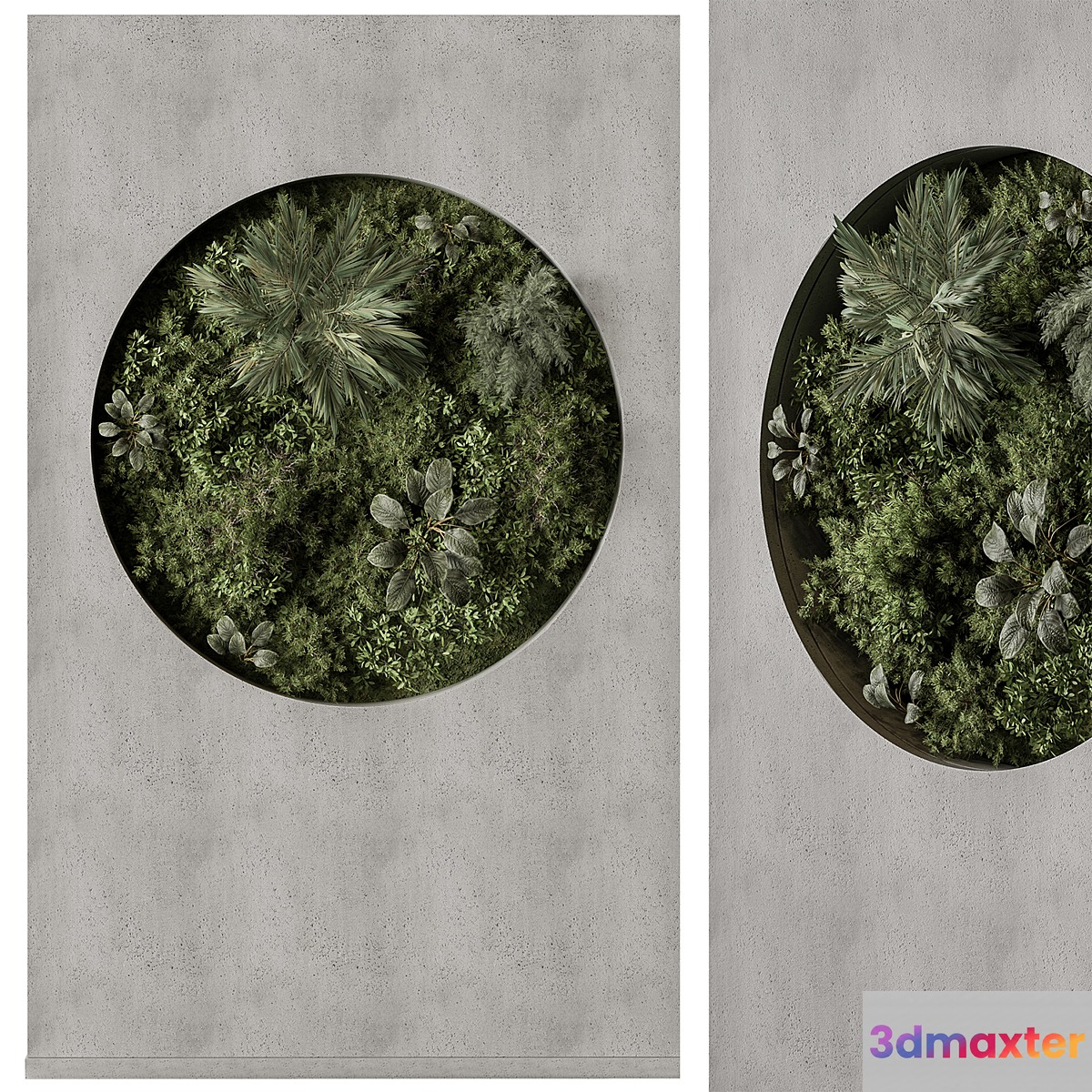 Vertical Garden - Green Wall 97 3D Max