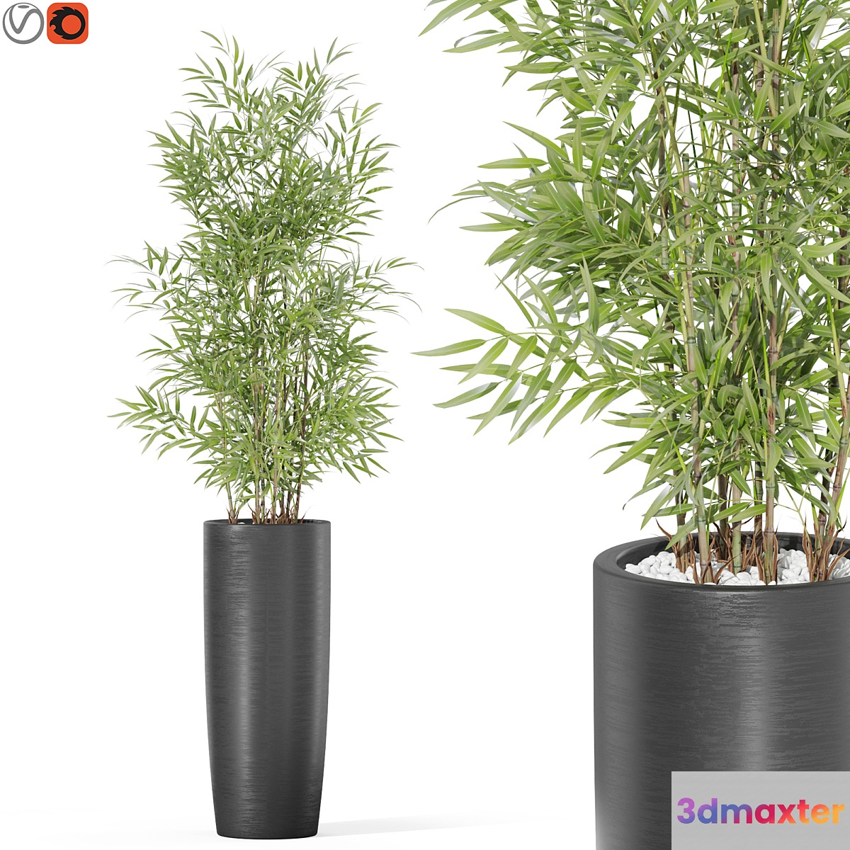 Plants collection 1009 3D Max