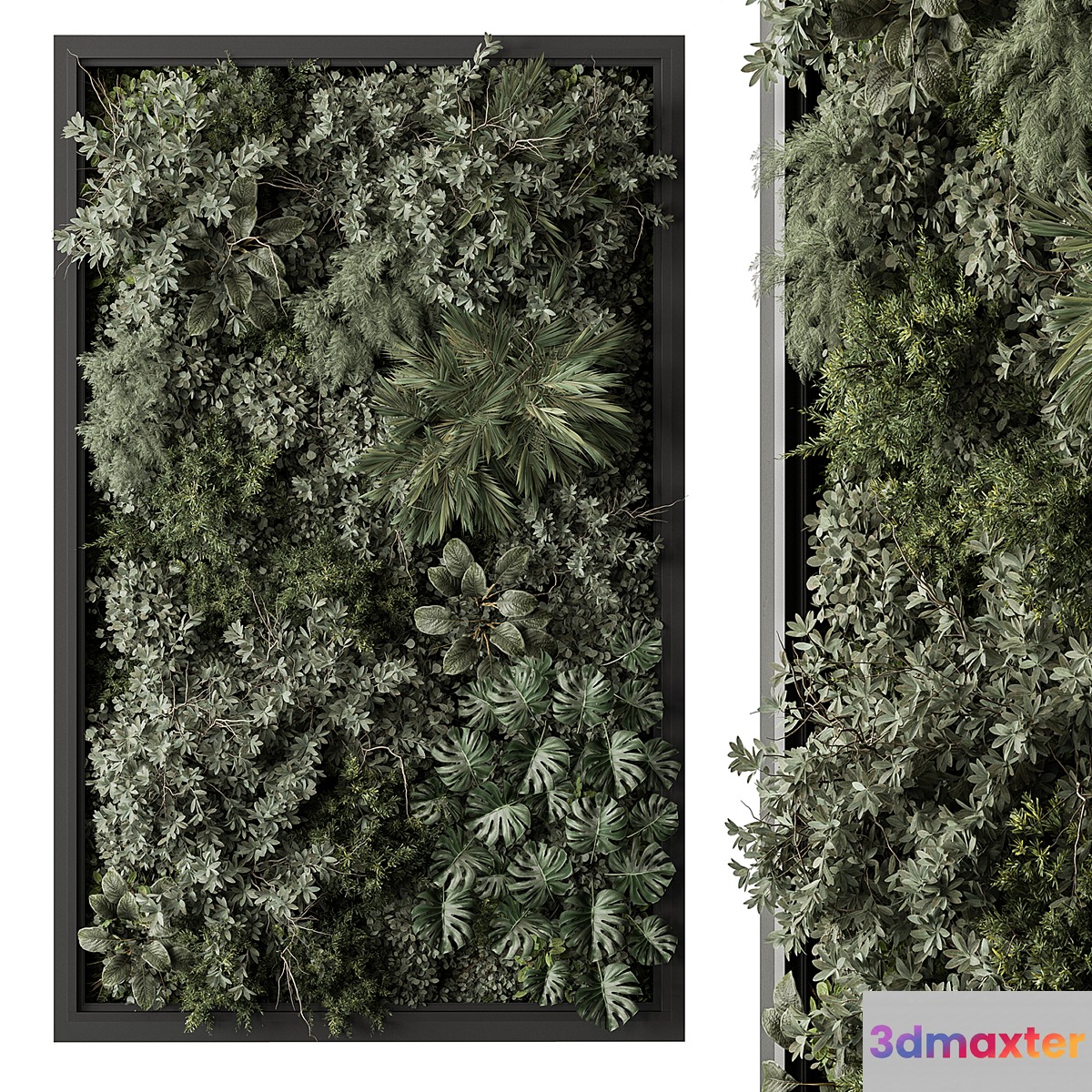 Vertical Garden - Green Wall 95 3D Max