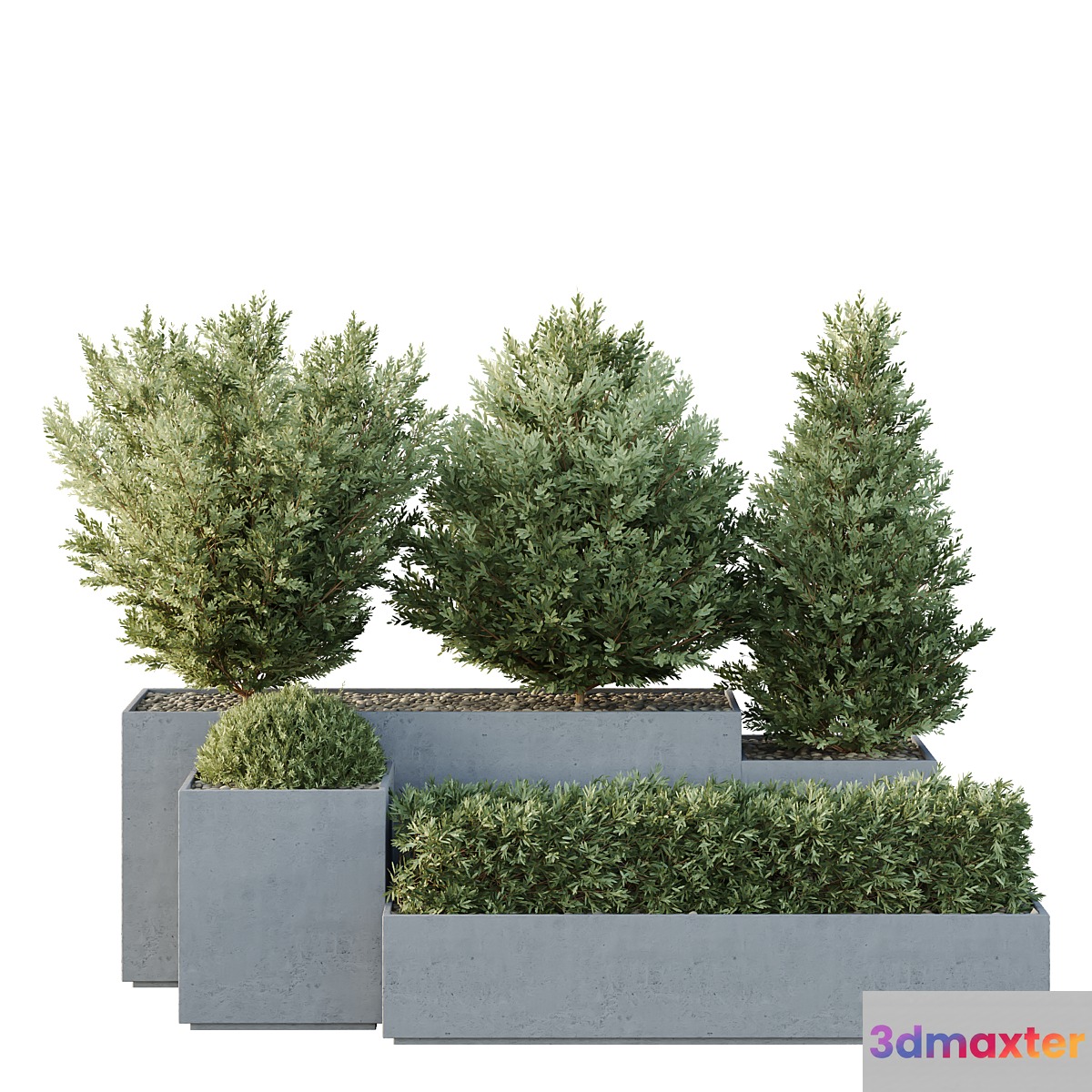 HQ Tree and bush garden box outdoor VOL 27 3D Max
