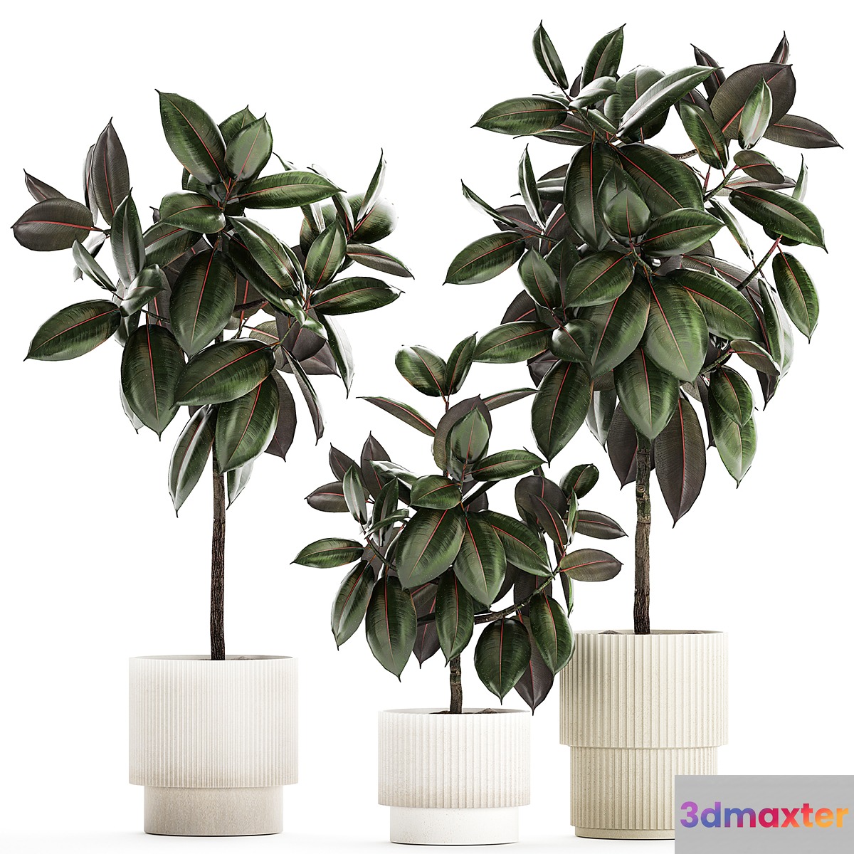 Plant collection 1432 - No.2 3D Max