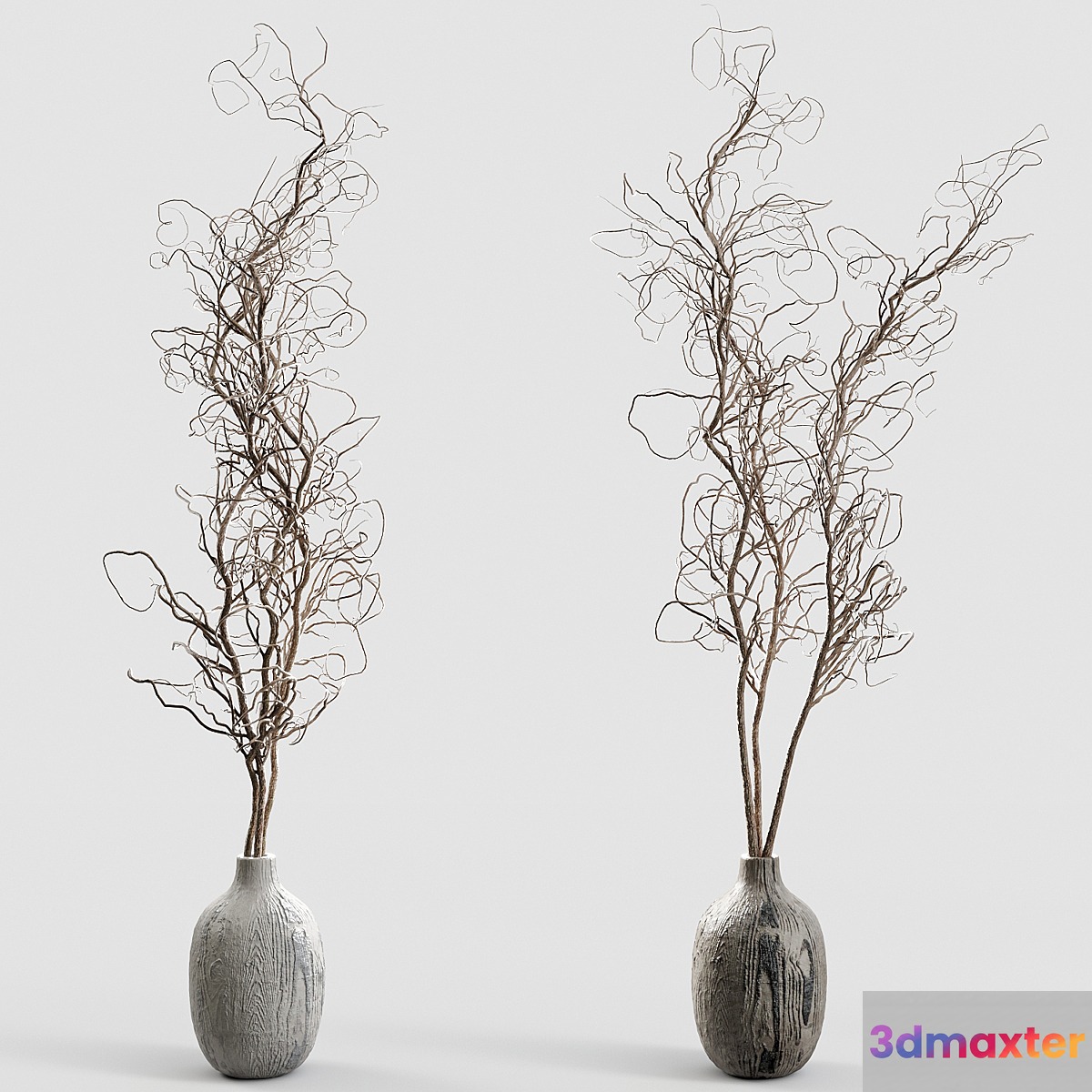 Branches in vases 30 3D Max