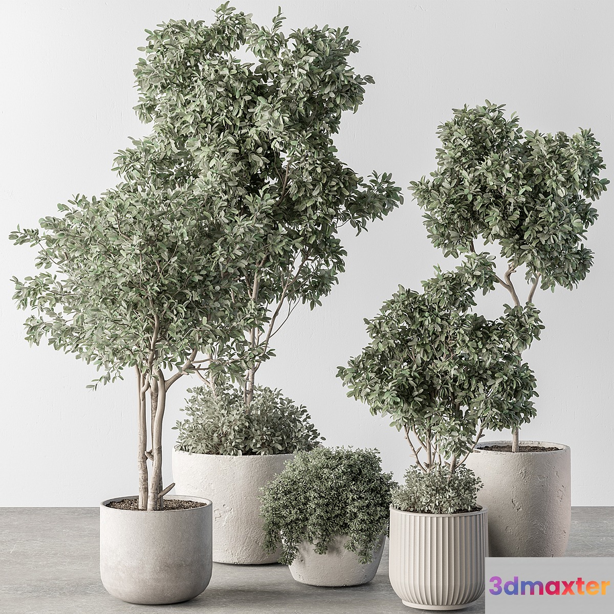 Indoor Plant 634 -Tree in Pot 3D Max