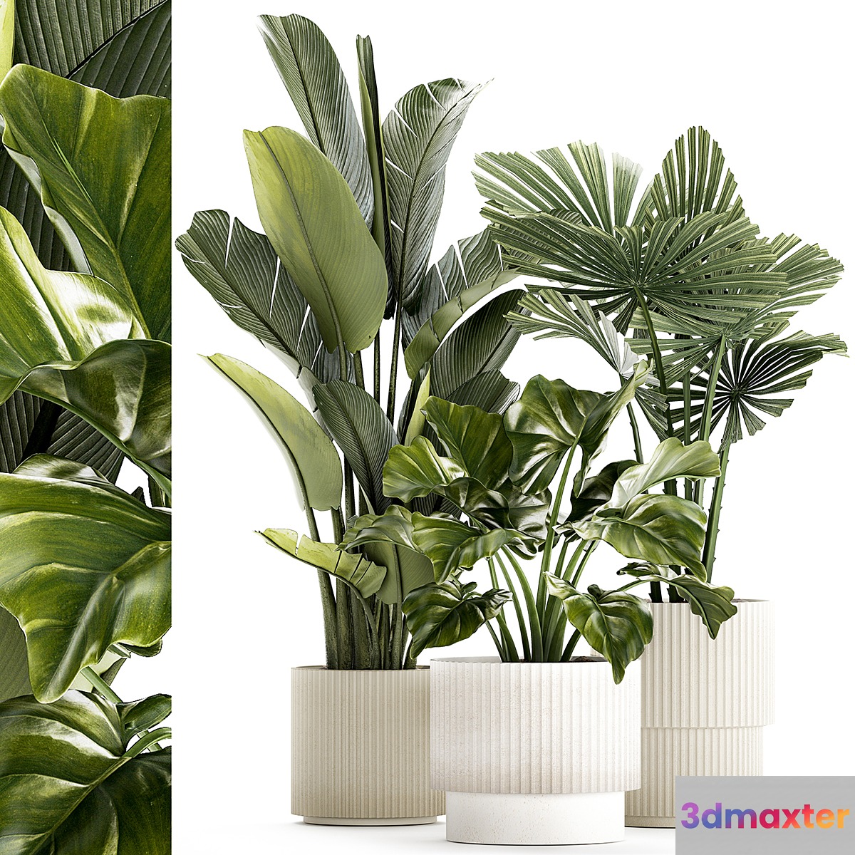 Plant collection 1436 3D Max