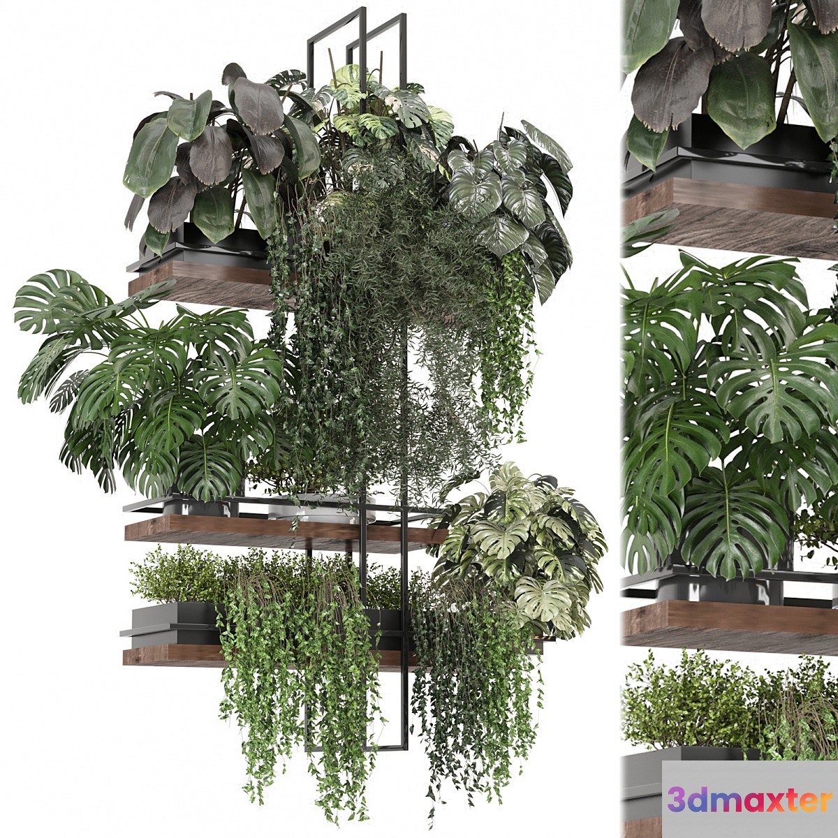 indoor plants in metal box _ Set hanging 1104 3D Max