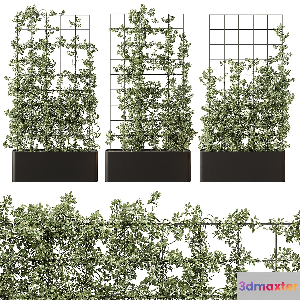 Vertical Garden Partiton - Set 101 3D Max